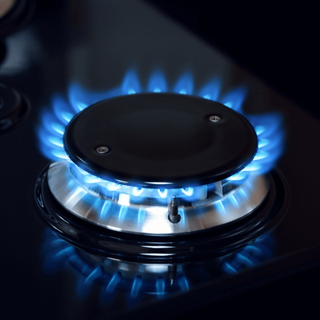 Energy Company Obligation